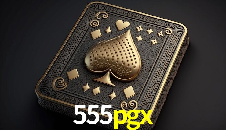 Experiência VIP 555pgx